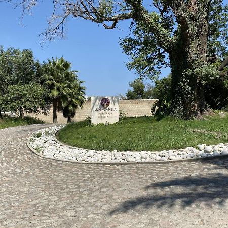 Hotel & Spa Luna Canela Boutique Атлиско Экстерьер фото